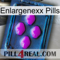 Enlargenexx Pills 04